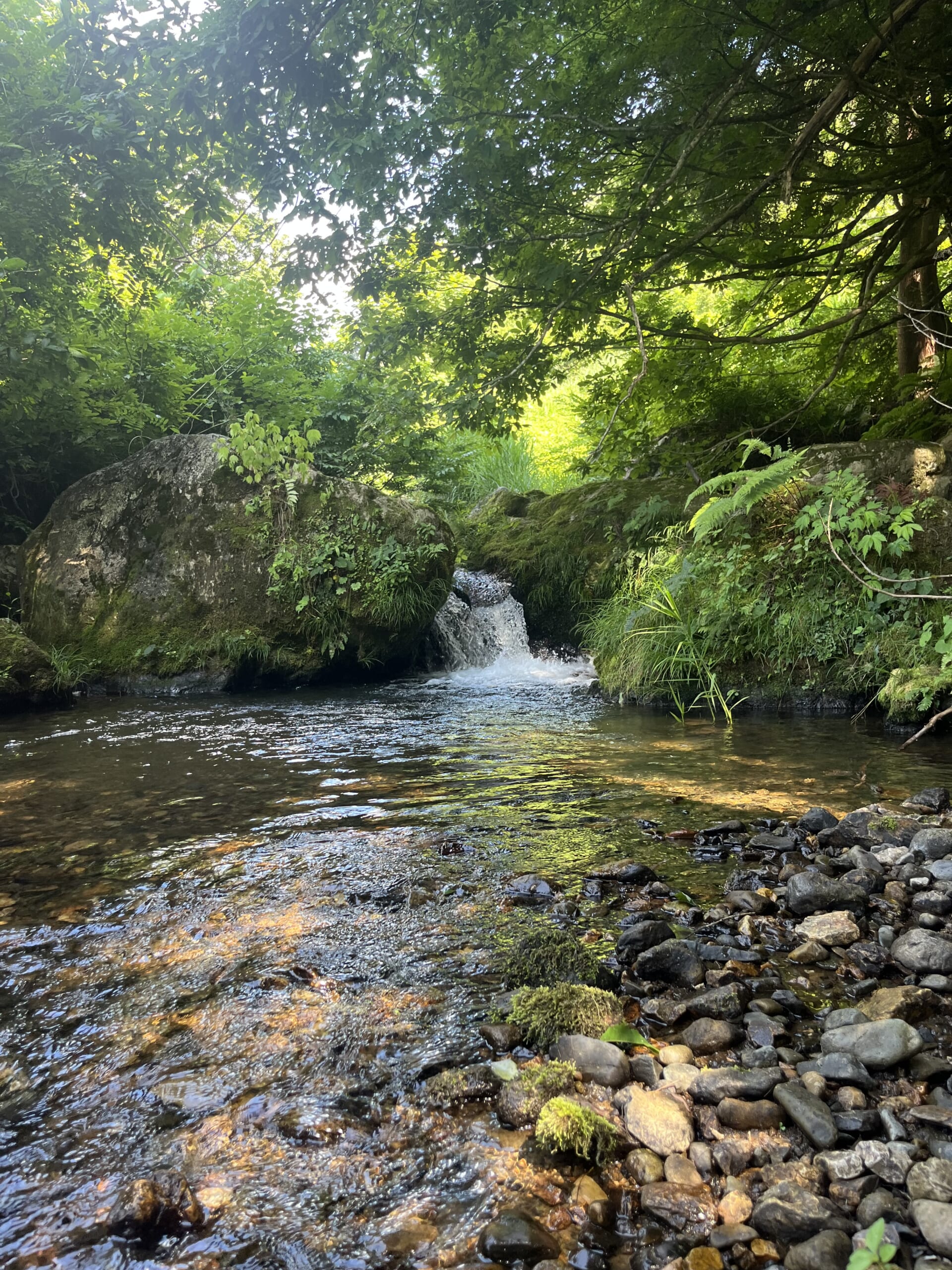 Image_20250714_085400_654